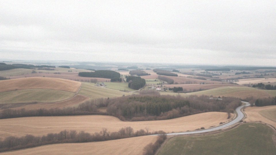 Jakie są granice województwa podkarpackiego w kontekście Tarnobrzega?