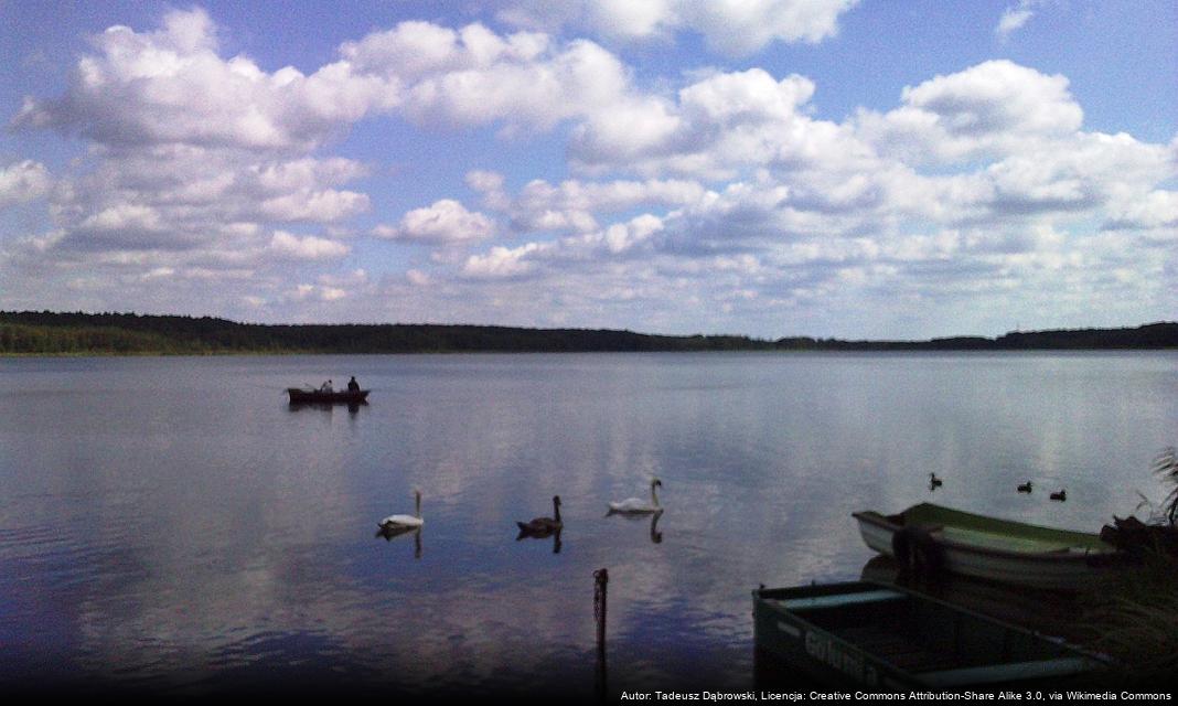 Uczniowie Szkoły Podstawowej nr 1 w Gostyninie zdobyli pierwsze miejsce w ogólnopolskim konkursie „Do Hymnu”