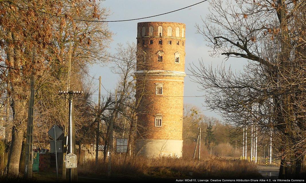 Gostynin na Czerwono – Finał Akcji „Dzieciństwo bez Przemocy”