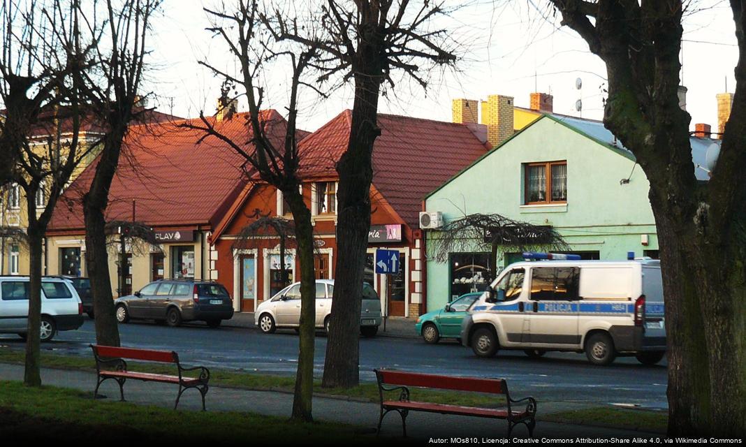 Obchody Święta Niepodległości w Gostyninie przebiegły z honorami i atrakcjami